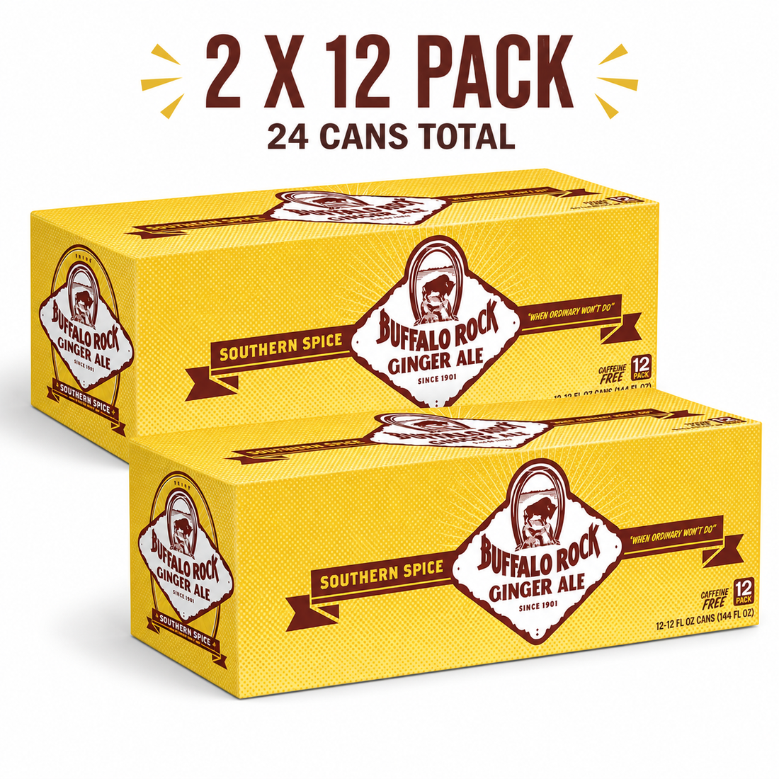 Buffalo Rock Ginger Ale Southern Spice – 2 x 12 Pack (24 Total Cans) – Caffeine Free Ginger Ale Made with Cane Sugar